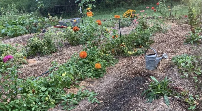 Wild Heaven Farms Garden Tour