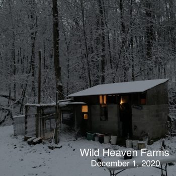 Chicken coop in winter weather