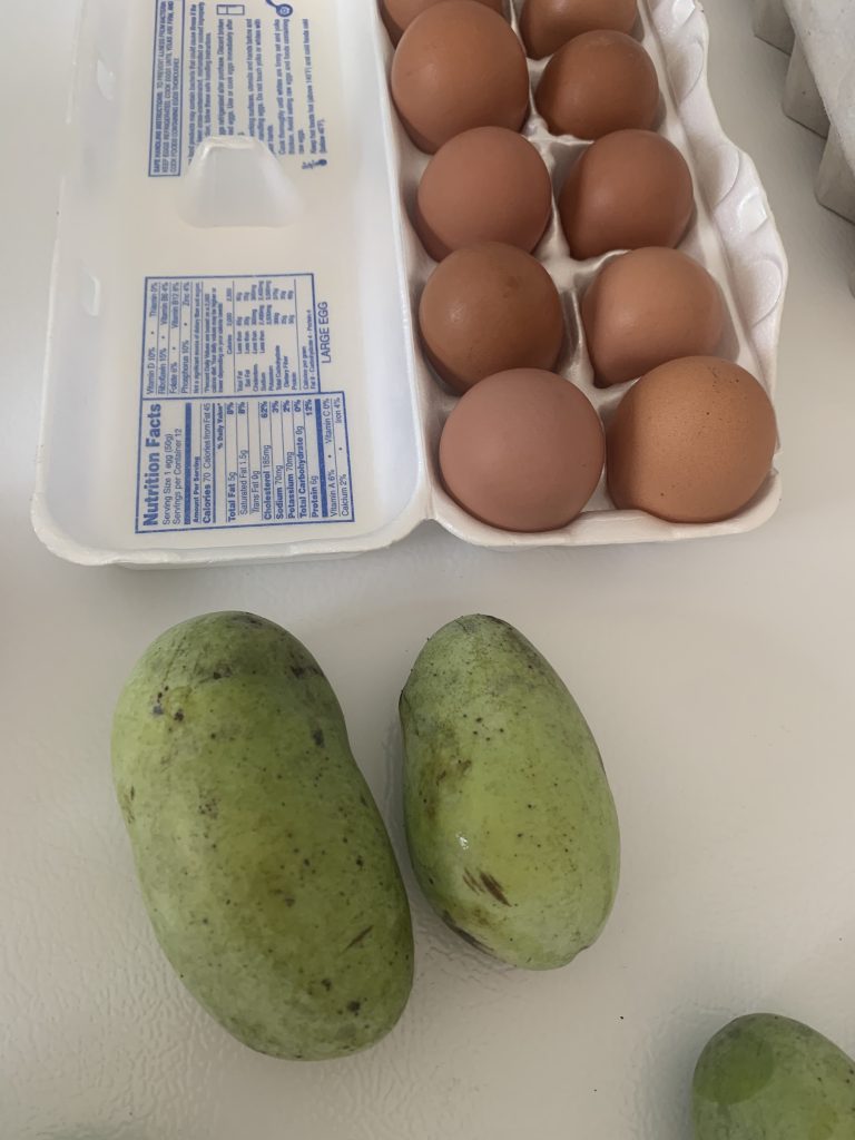 Pawpaw compared to our farm eggs